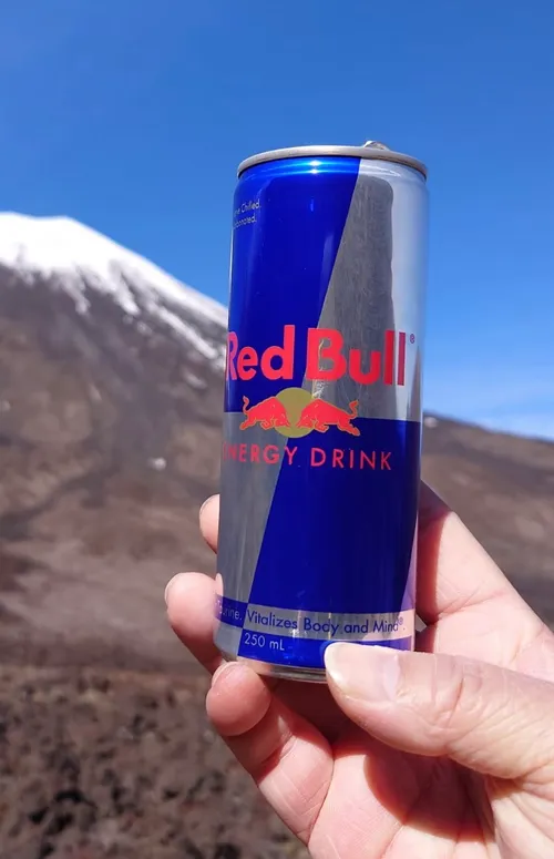Red Bull (Energy Drink)